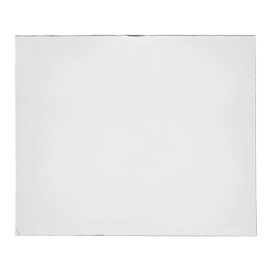 Стекло (пластина защитная) поликарбонатное 110*90